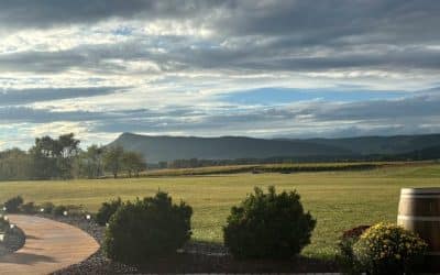 Twilight, Tapas & Tunes