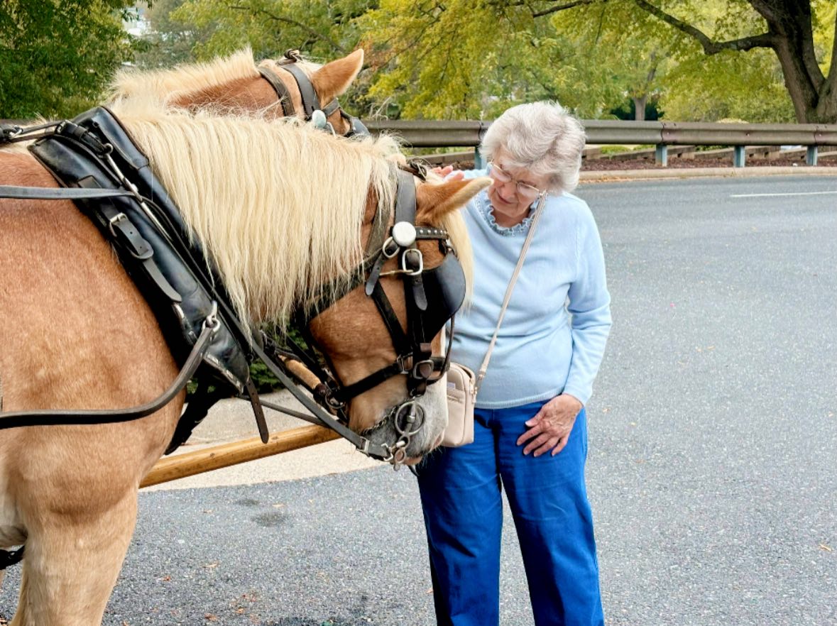 556234668 1369399868525395 7559550226517478496 n