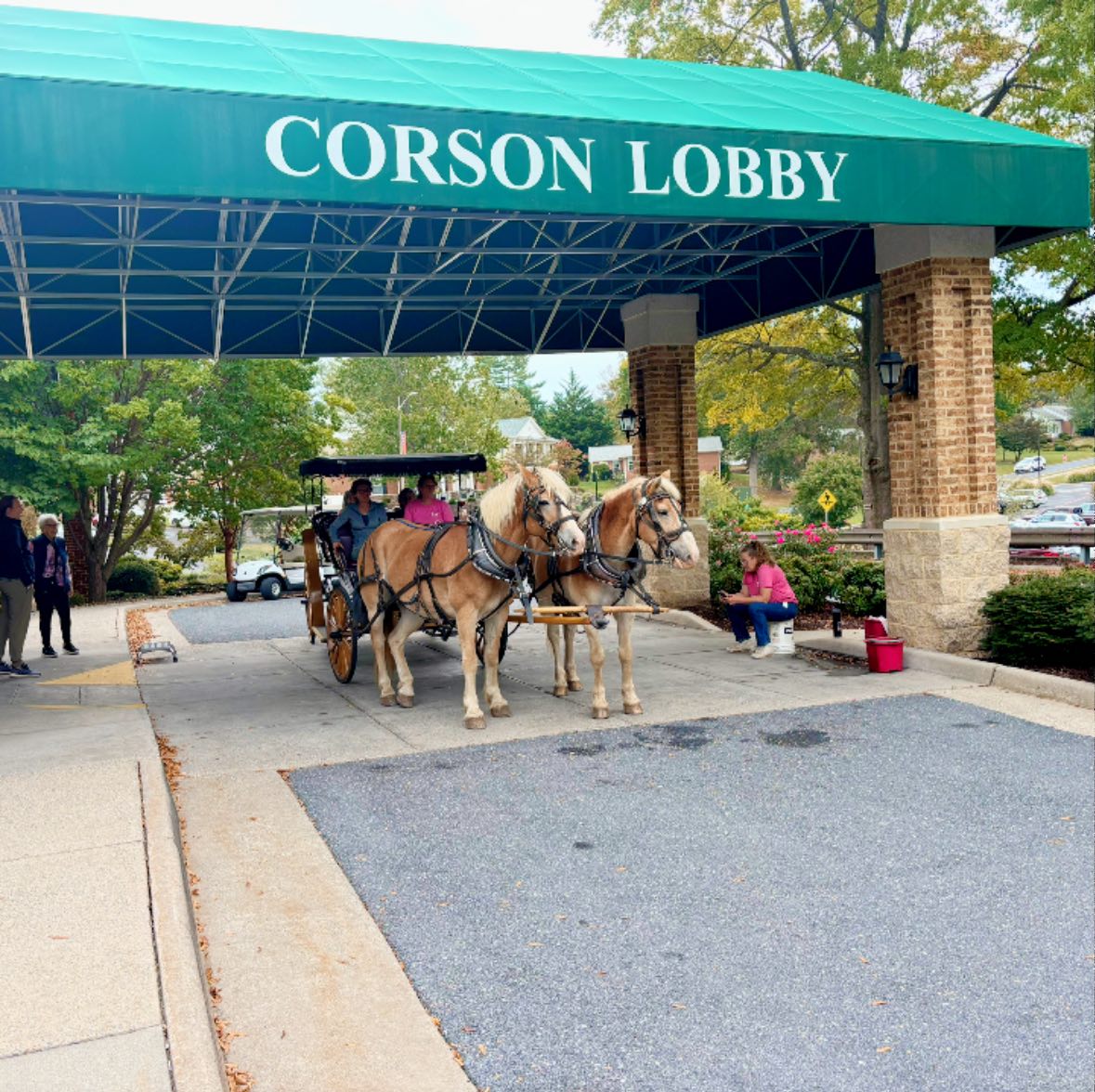 556302386 1369399601858755 4143197596097484355 n