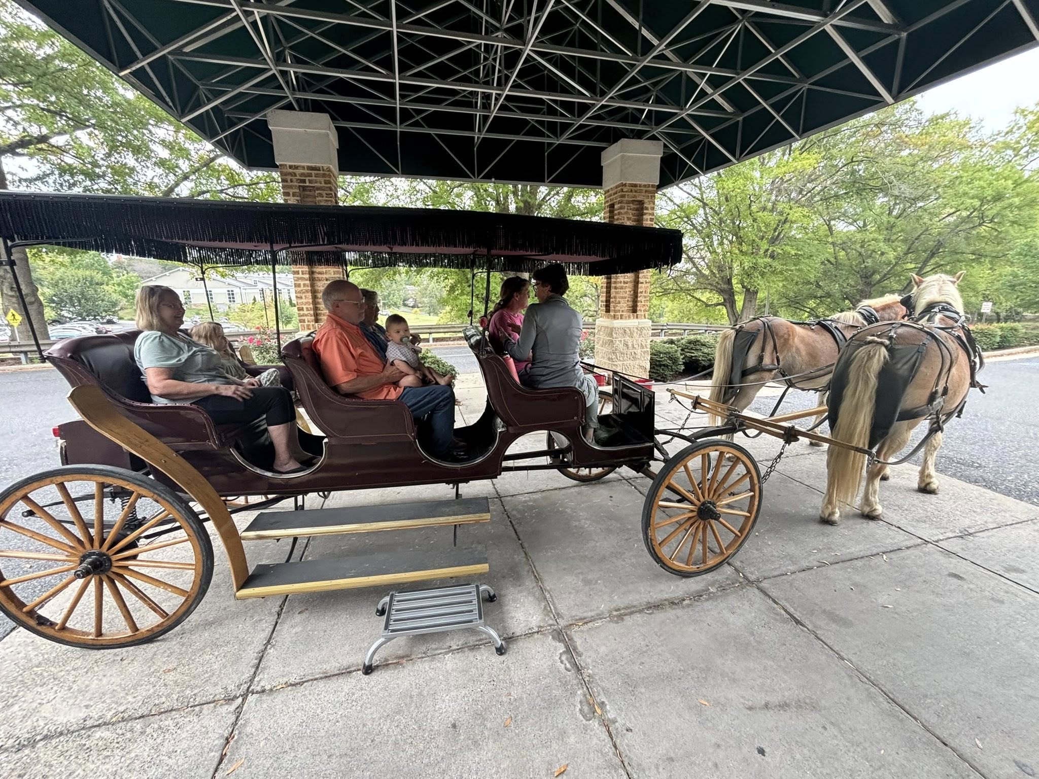 556458062 1369400921858623 1365122004936916802 n