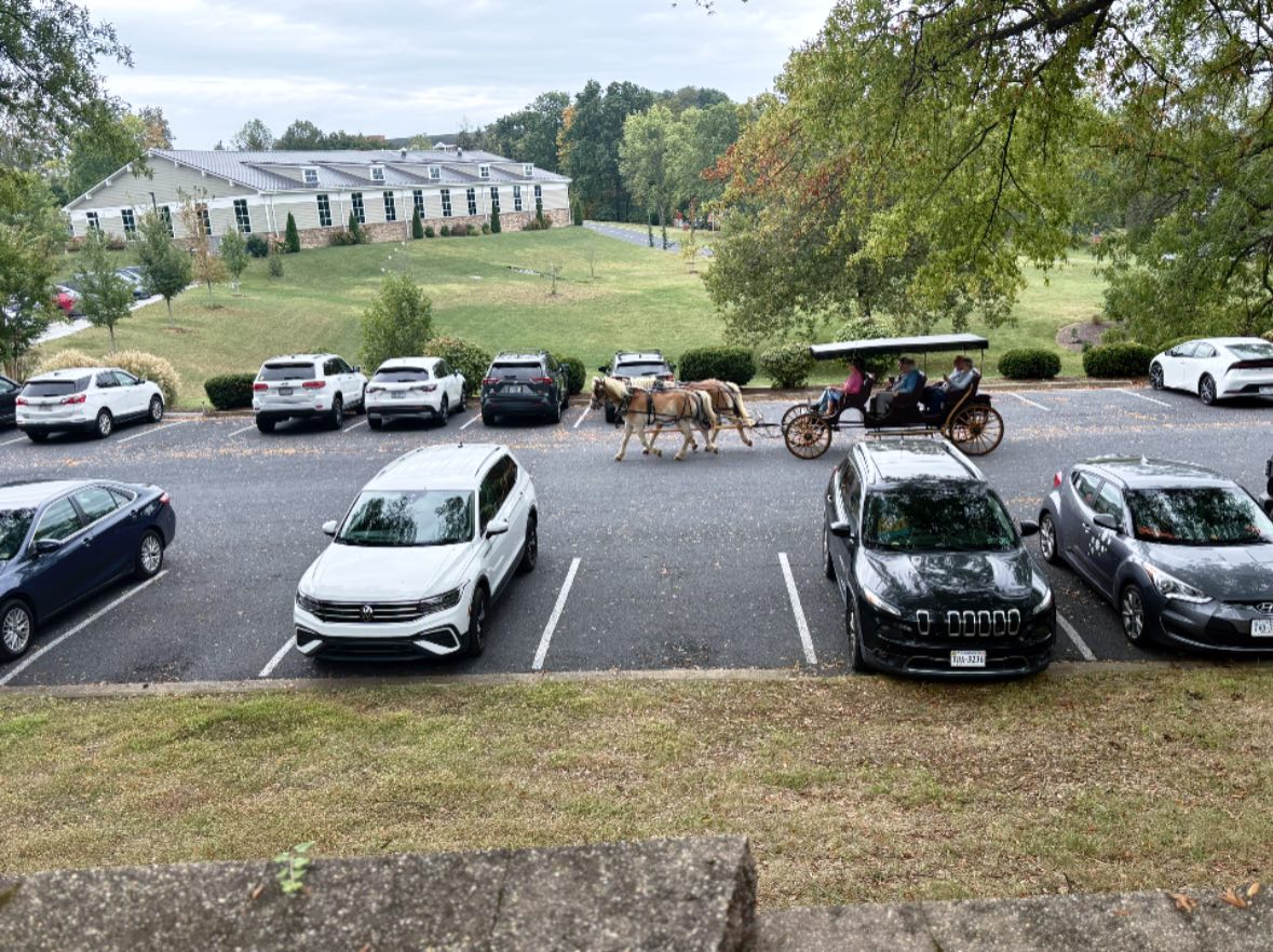 556521264 1369400491858666 4136751537048487523 n