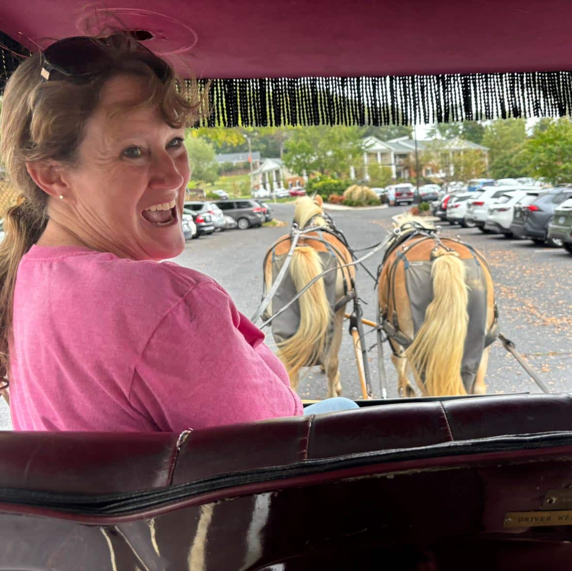 557478965 1369400091858706 2641883059957269141 n