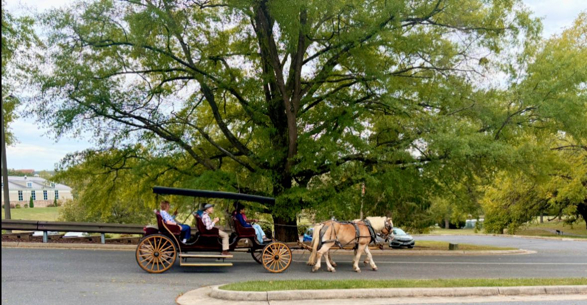 557599343 1369400375192011 420177025221717594 n 557599343 1369400375192011 420177025221717594 n