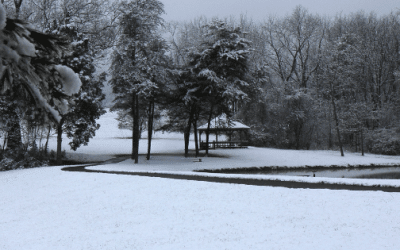 Showing Up When It Matters Most