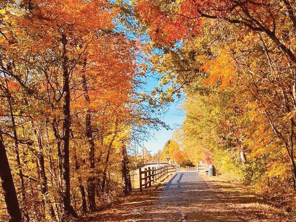 Kngs grant gallery image 8