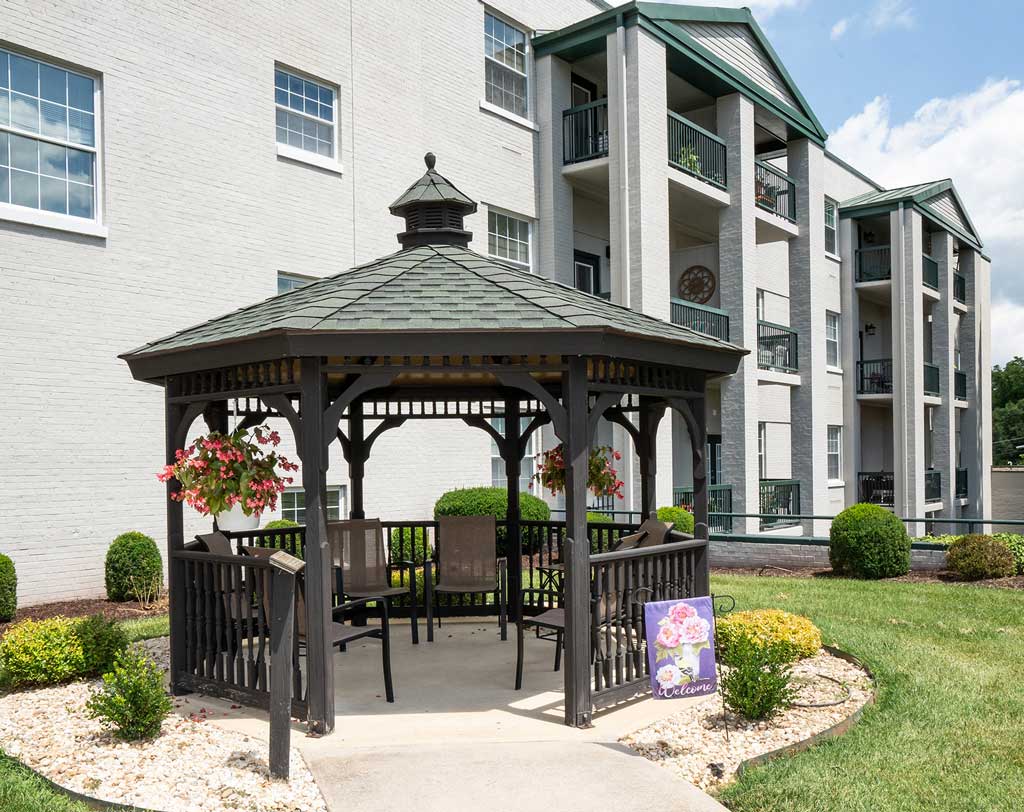 SSq slide image upated 6