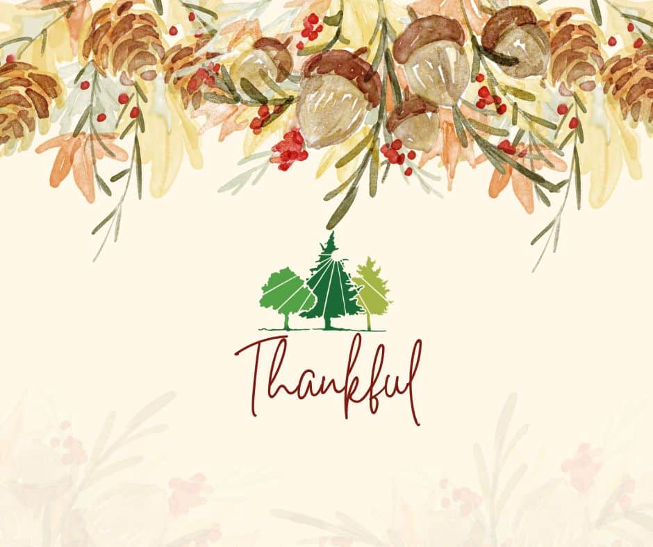 The Wilson Family (1)