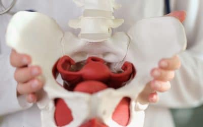 The Dignity of Feeling Well Again