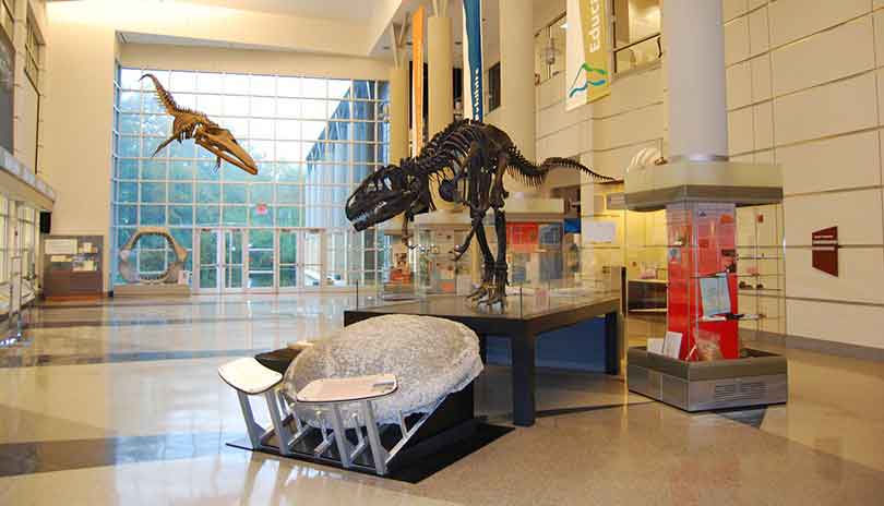 Virginia-Museum-of-Natural-History