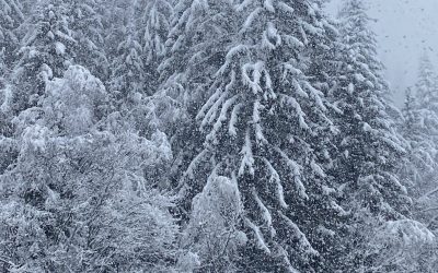 Beating the Winter Blues Together