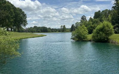 Snapshots of Home | June Edition