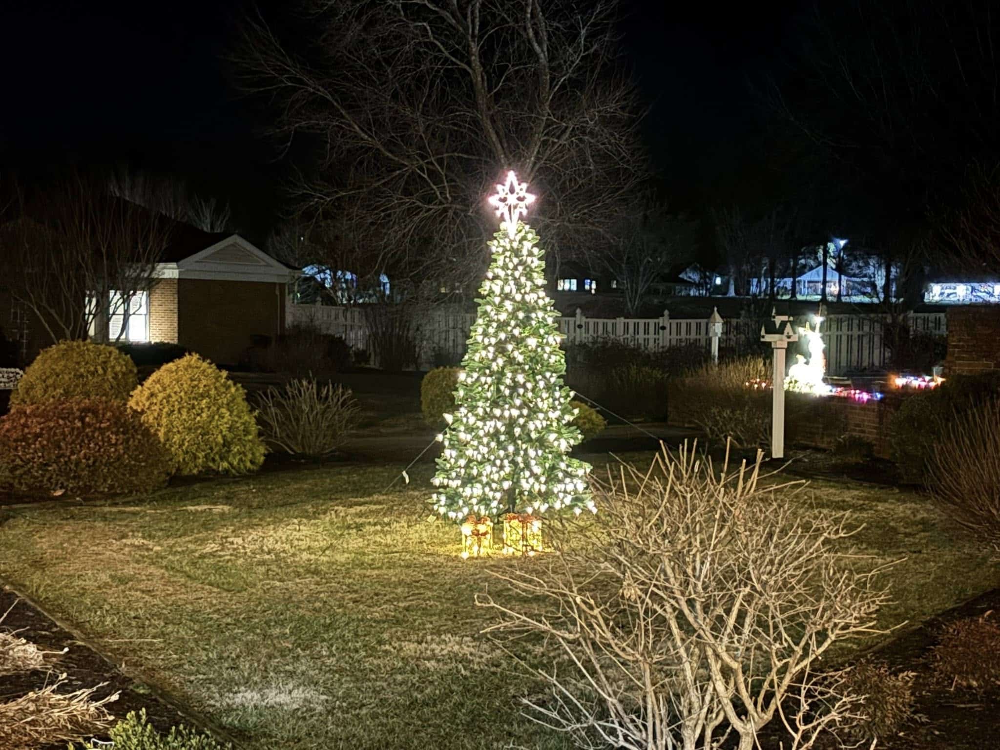 A quiet glow against the winter dark. Each light a name remembered. Each moment held with care.