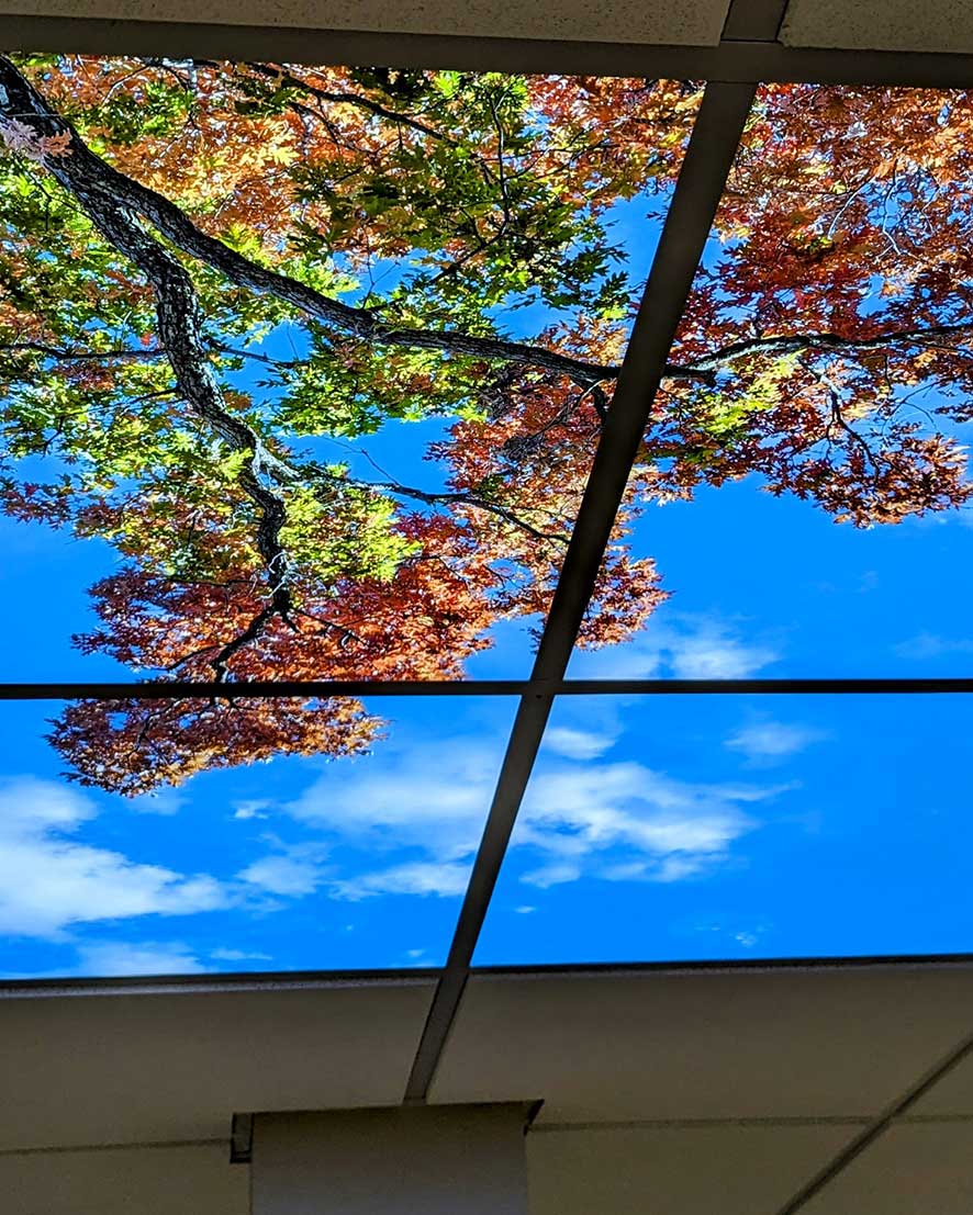 sunnyside Memory Care box img upated