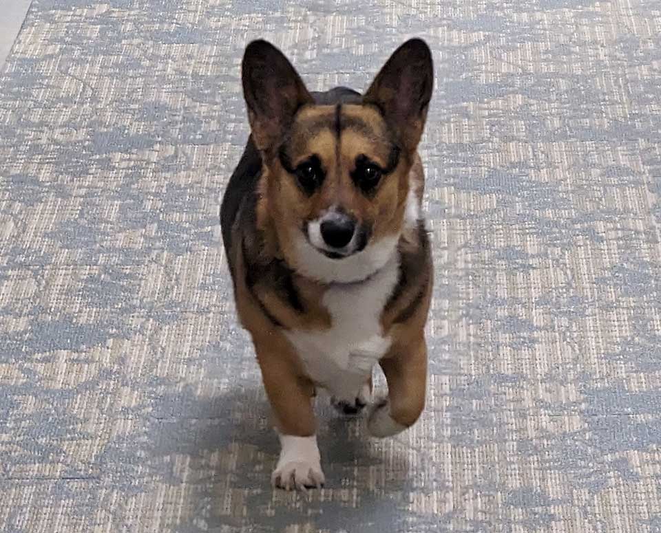 thank you right image